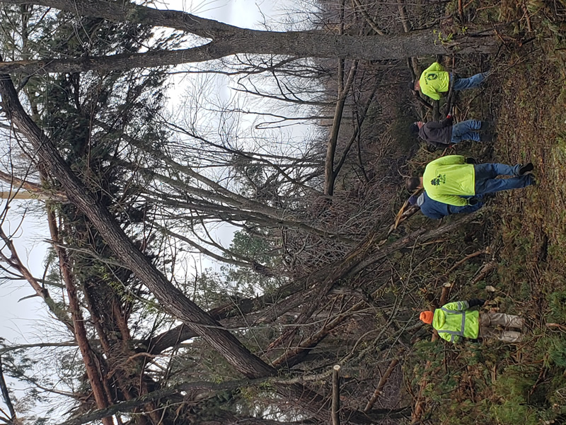/pictures/Trail Clean Up 2018/20181104_084425.jpg